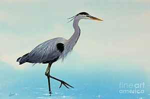 300x199 Great Blue Heron Watercolor Paintings Fine Art America - Heron Watercolor