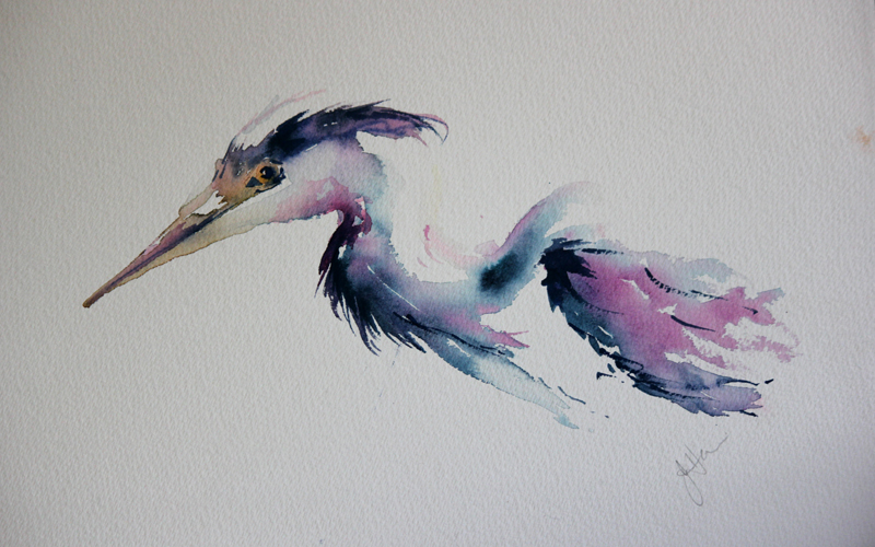 800x500 Watercolours With Life Paintings From My World Of Watercolour - Heron Watercolor