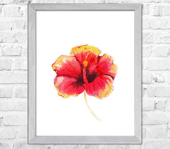 570x499 Hibiscus Flower Painting Print Flower Watercolor Painting Etsy - Hibiscus Flower Watercolor