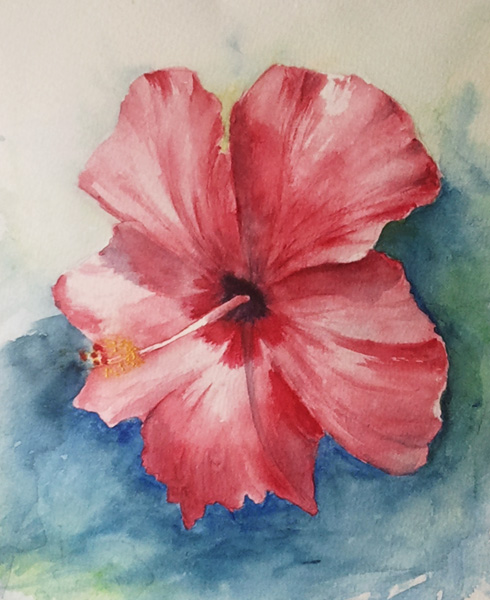 490x600 Hibiscus Flower Watercolor Painting - Hibiscus Flower Watercolor