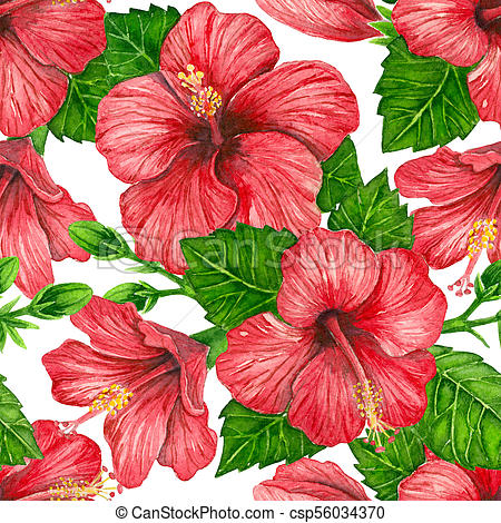 450x470 Hibiscus Flowers Watercolor Pattern. Seamless Pattern With Red - Hibiscus Flower Watercolor