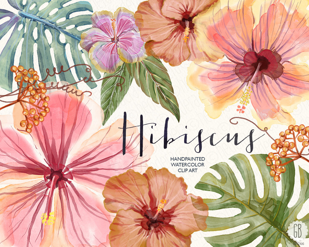 1024x819 Peach Flower Clipart Tropical Hibiscus - Hibiscus Flower Watercolor