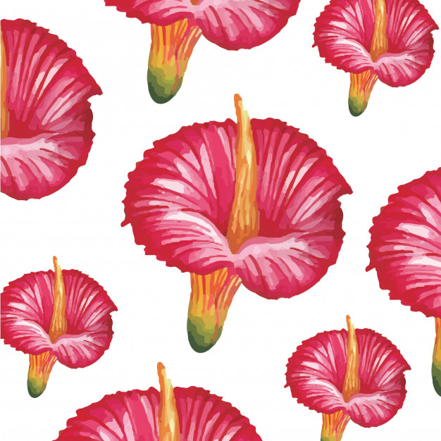 626x626 Red Hibiscus Flower Watercolor Vector Premium Download - Hibiscus Flower Watercolor