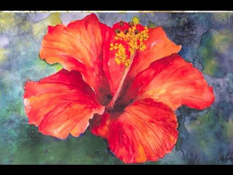 480x360 Easy, Step By Step Tutorial, How To Paint Hibiscus Flower In - Hibiscus Flower Watercolor