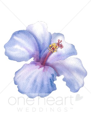 299x388 Hibiscus Clipart Flower Clipart - Hibiscus Flower Watercolor
