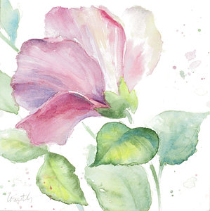 299x300 Hibiscus Watercolor Paintings Fine Art America - Hibiscus Watercolor