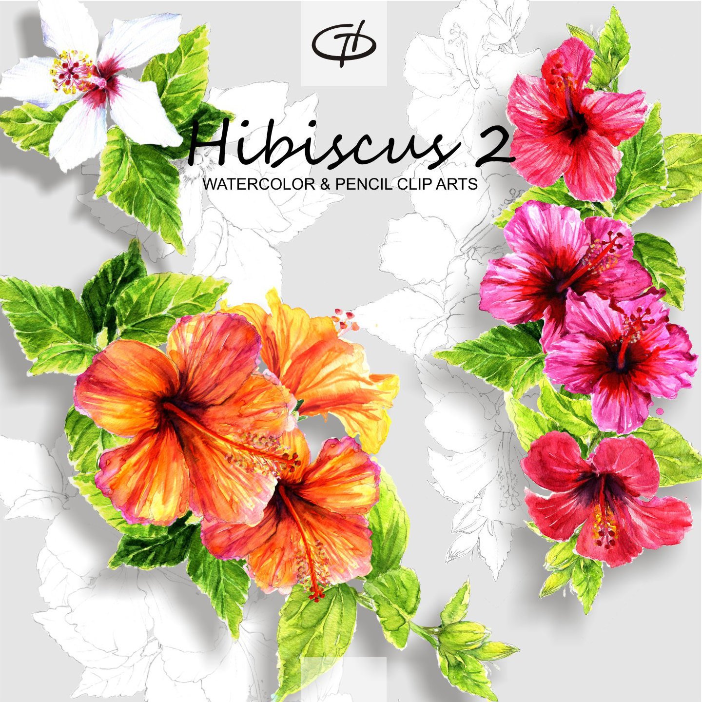 1440x1440 Hibiscus Watercolor And Pencil Clipart Set2 Handmade Flower Etsy - Hibiscus Watercolor