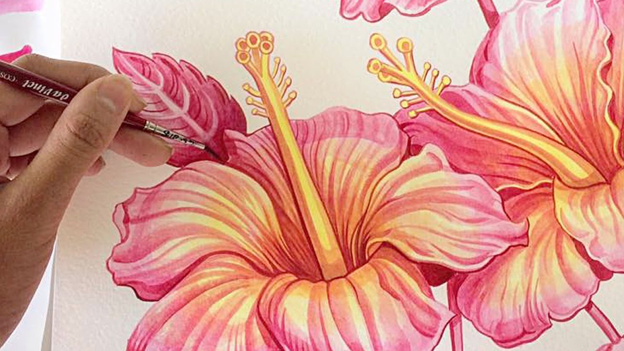 1280x720 Hibiscus Watercolour Painting - Hibiscus Watercolor