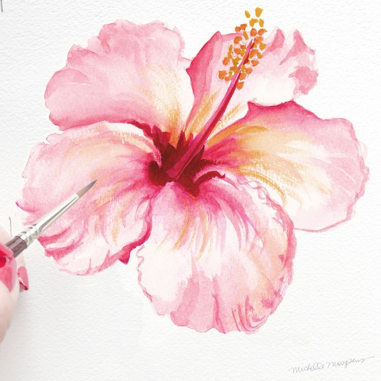 750x750 In Bloom Tropical Hibiscus (A Watercolor Paintings - Hibiscus Watercolor
