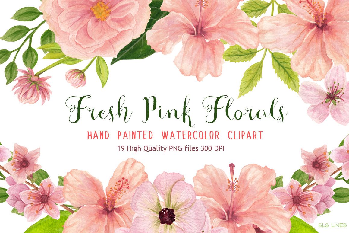 1158x772 Pink Floral Watercolors Hibiscus - Hibiscus Watercolor