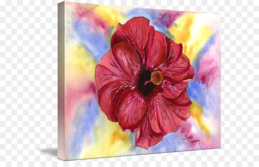 900x580 Watercolor Painting Acrylic Paint Art Floral Design - Hibiscus Watercolor