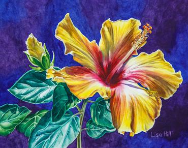370x291 Yellow Hibiscus In Watercolor - Hibiscus Watercolor