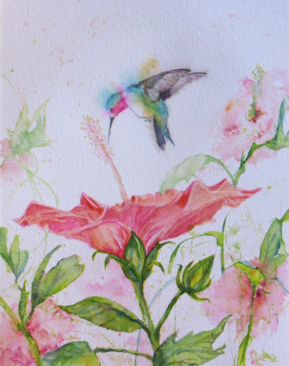 570x723 Original Hummingbird Hibiscus Watercolor Painting Wall Decor Etsy - Hibiscus Watercolor