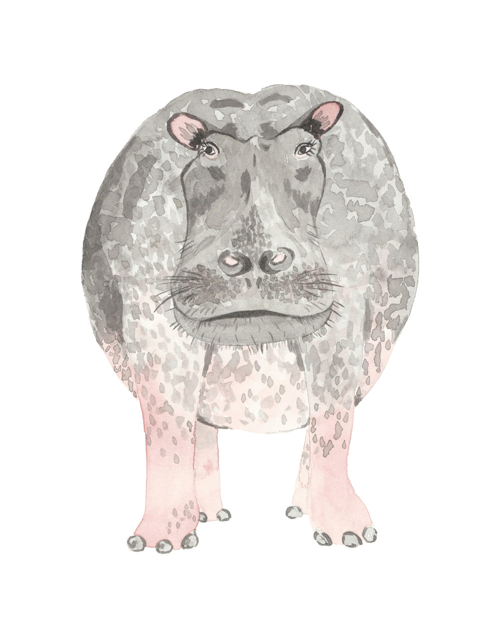 1000x1242 Hippo - Hippo Watercolor