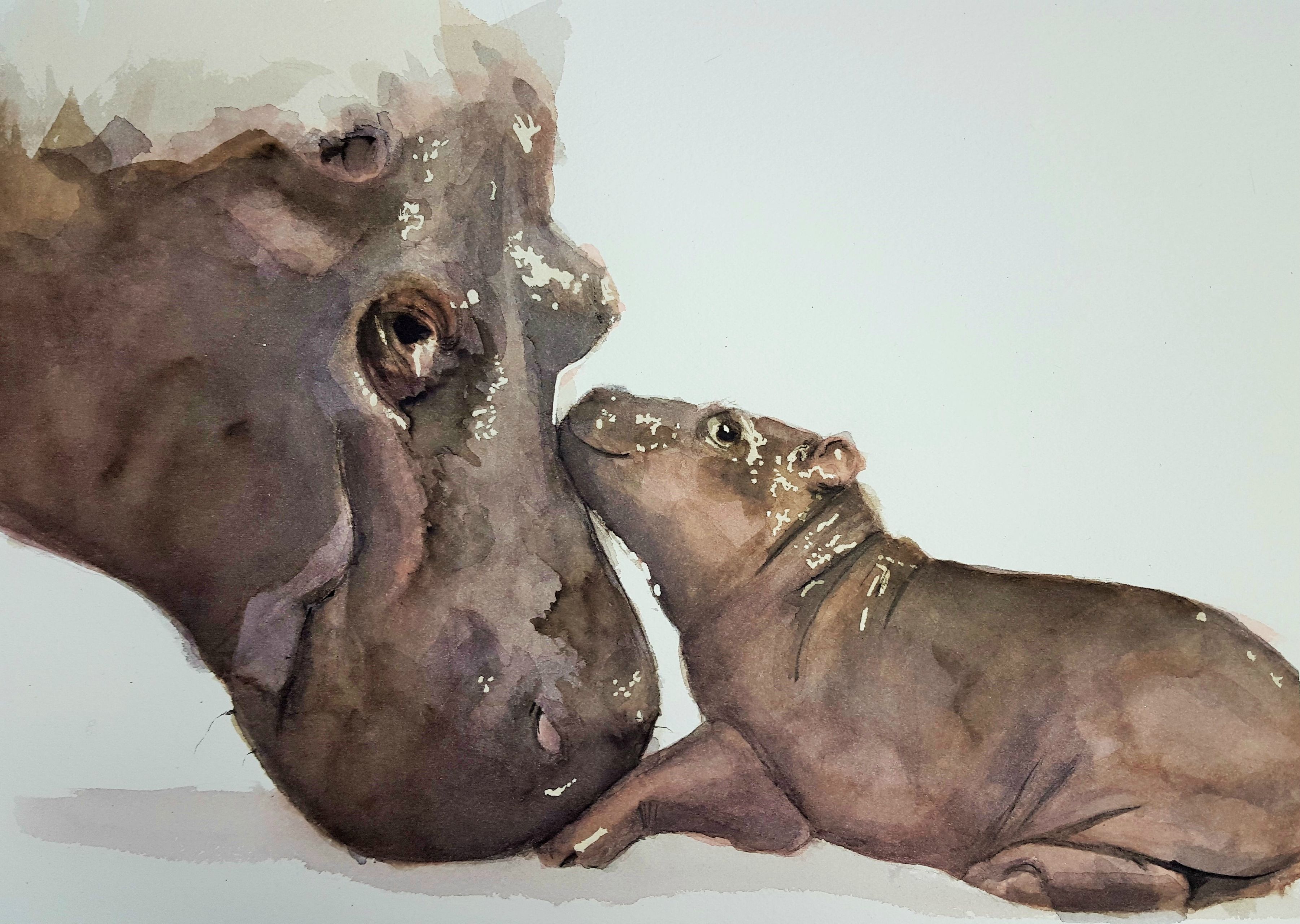 3602x2561 Momma And Baby Hippo, Watercolor, 9x12, Arches Watercolor Paper - Hippo Watercolor