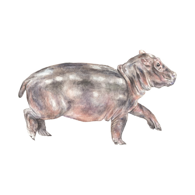 630x630 Watercolor Baby Tiptoeing Hippo - Hippo Watercolor