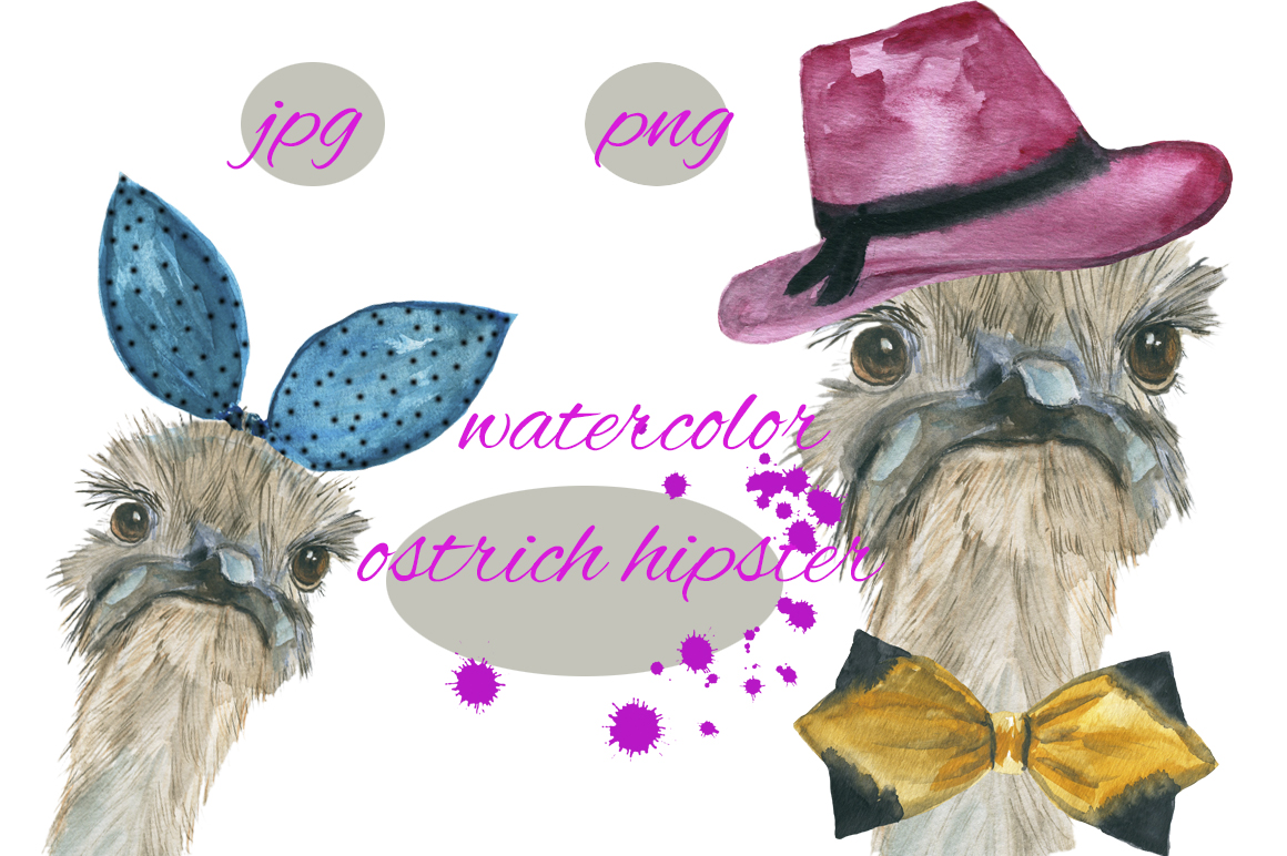1160x772 Ostrich Hipster Watercolor By Juliafast77 - Hipster Watercolor