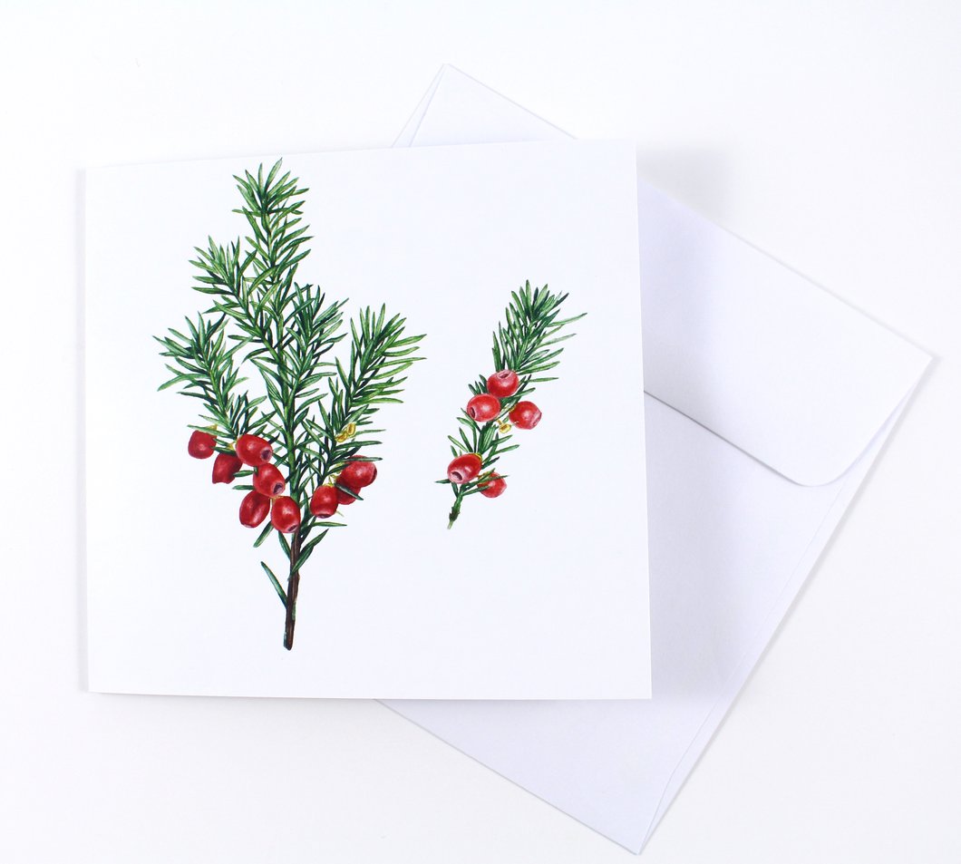 1060x953 English Yew Tree And Berries Watercolor Holiday Card Laura - Holiday Watercolor