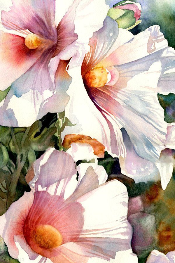 600x900 Hollyhocks, Watercolor By Paula Wadsworth Watercolour - Hollyhock Watercolor Paintings