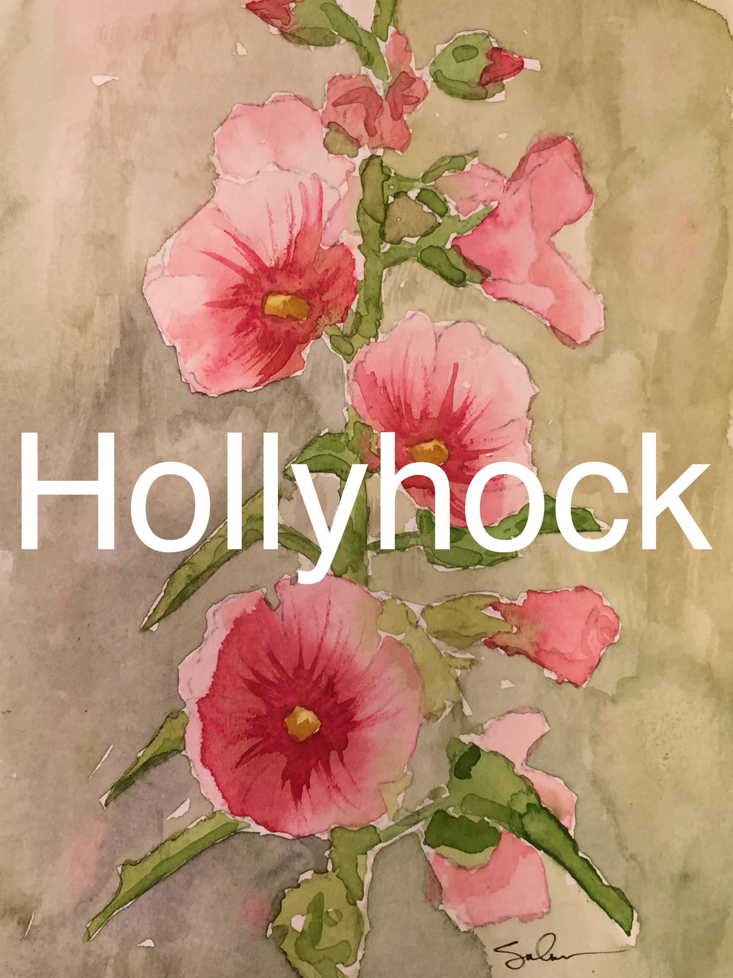 2370x3160 How To Paint Hollyhock In Watercolour Watercolor Plant Flower - Hollyhock Watercolor Paintings