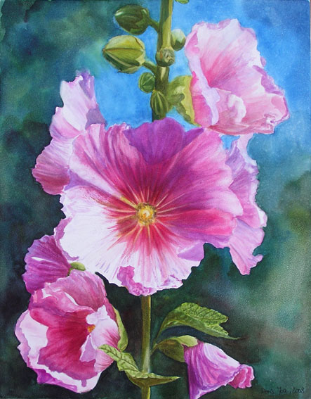 443x567 Pink Hollyhock Watercolor Amp Oil Paintings Of Roses And Flowers - Hollyhock Watercolor Paintings