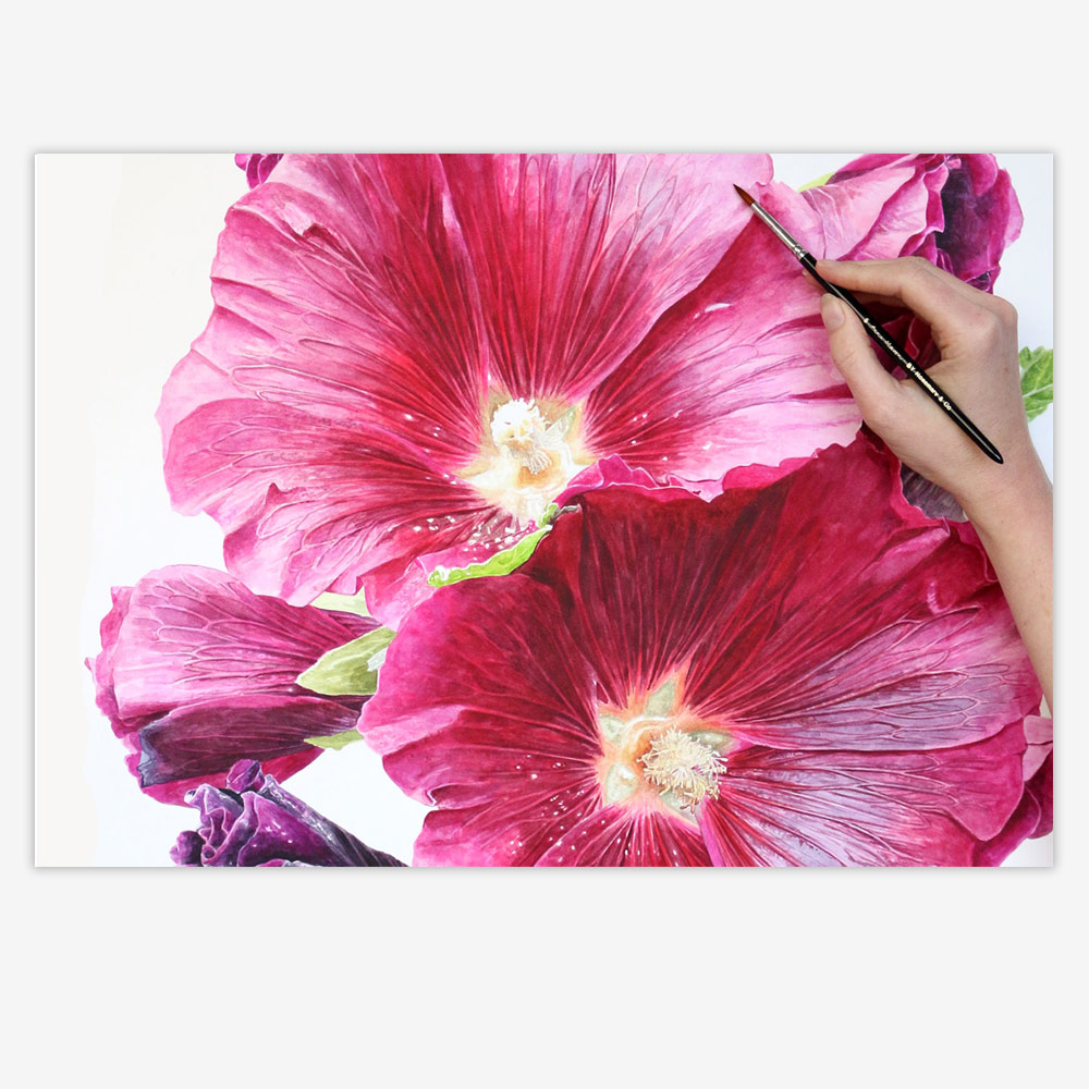1000x1000 Tips For Painting Big In Watercolour - Hollyhock Watercolor Paintings