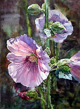 280x381 Watercolor Painting Hollyhock Watercolor Painting By - Hollyhock Watercolor Paintings