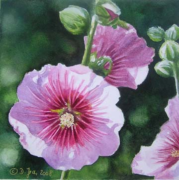 360x362 Another Hollyhock Watercolor Amp Oil Paintings Of Roses And - Hollyhock Watercolor Paintings