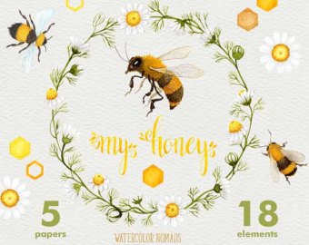 340x270 Bee Watercolor Etsy - Honey Bee Watercolor