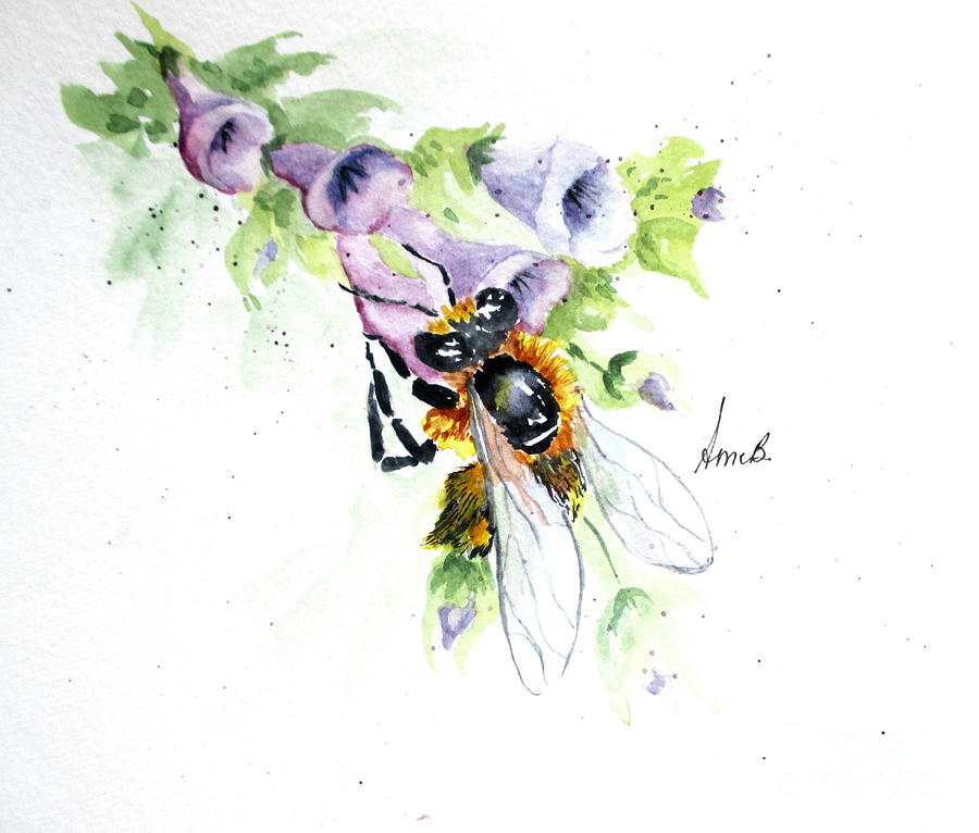 900x766 Honey Bee Painting By April Mccarthy Braca - Honey Bee Watercolor