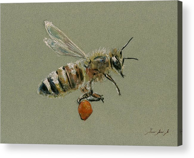 651x531 Honey Bee Watercolor Painting Acrylic Print By Juan Bosco - Honey Bee Watercolor