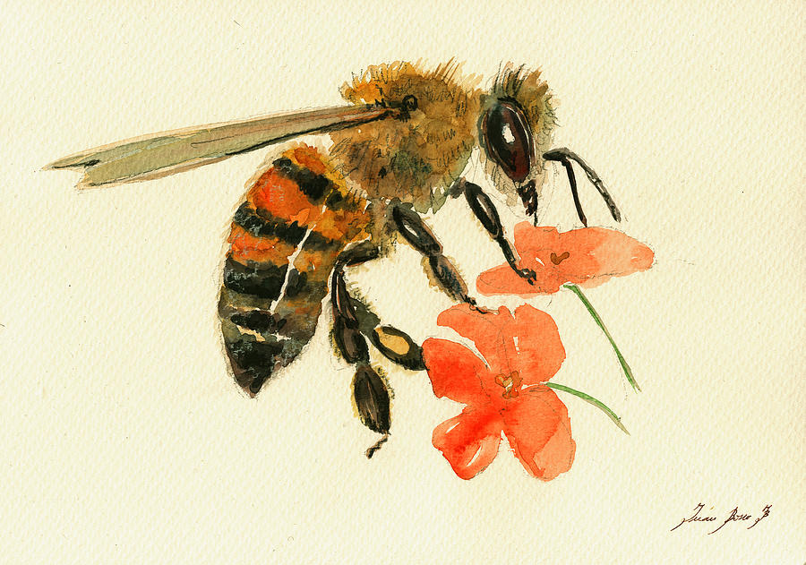 900x631 Honey Bee Watercolor Painting Painting By Juan Bosco - Honey Bee Watercolor