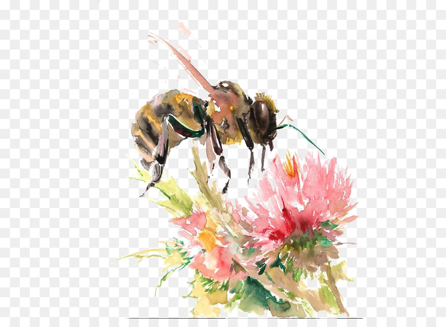 900x660 Bee Watercolor Flowers Watercolor Painting Drawing - Honey Bee Watercolor