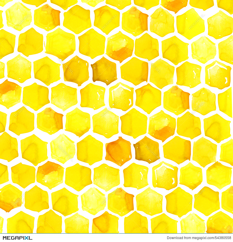 800x830 Honey, Honeycomb, Watercolor Illustration 54380558 - Honey Watercolor