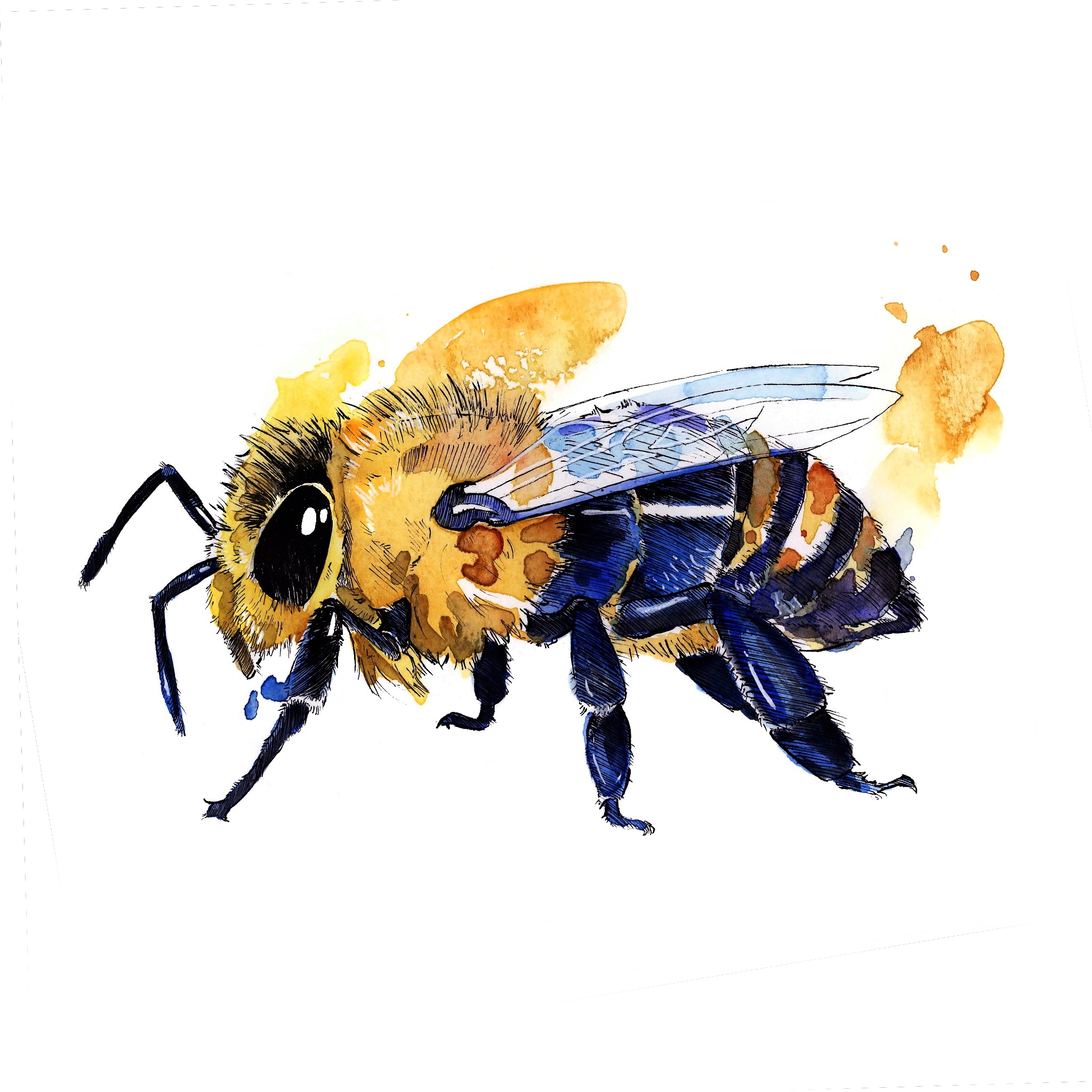 2048x2048 Honey, Watercolor, A4 Art - Honey Watercolor