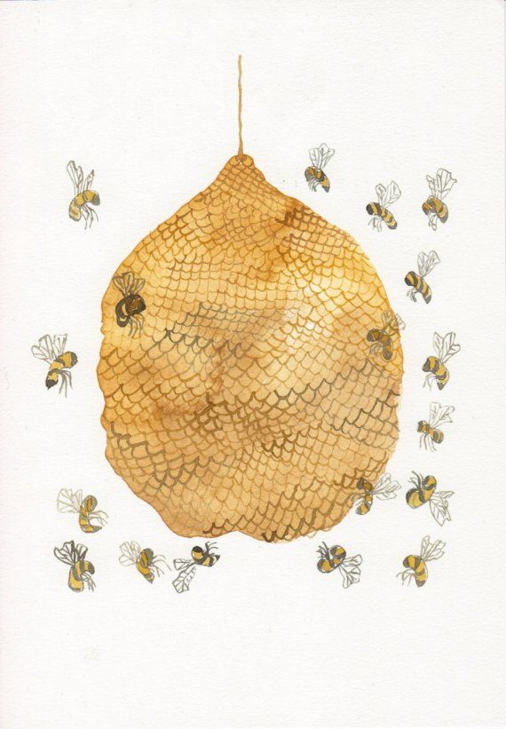 570x821 Honey Bee Hive No. 3 - Honey Watercolor