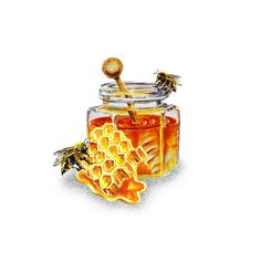 236x236 Honey Jar Watercolor Painting 5 X 7 Fine Art Giclee Reproduction - Honey Watercolor