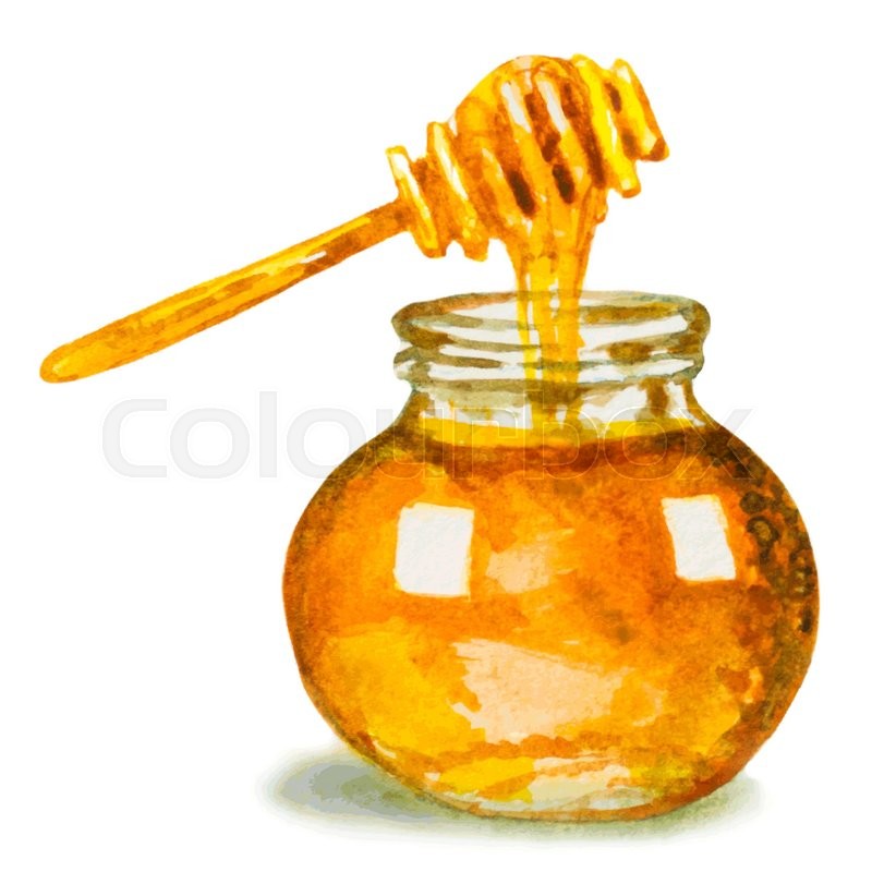800x800 Honey In Glass Jar And A Dipper. Watercolor Vector Illustration - Honey Watercolor