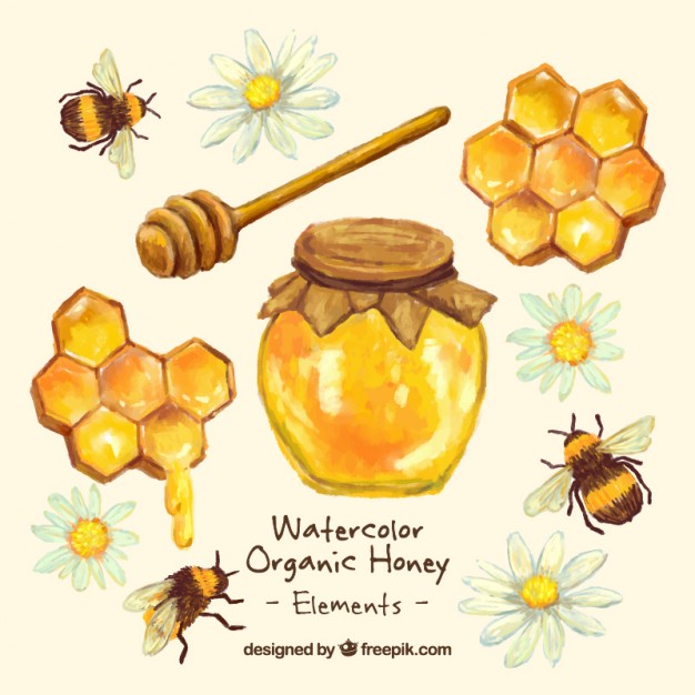 626x626 Hand Painted Honey Jar With Honeycomb Vector Free Download - Honey Watercolor