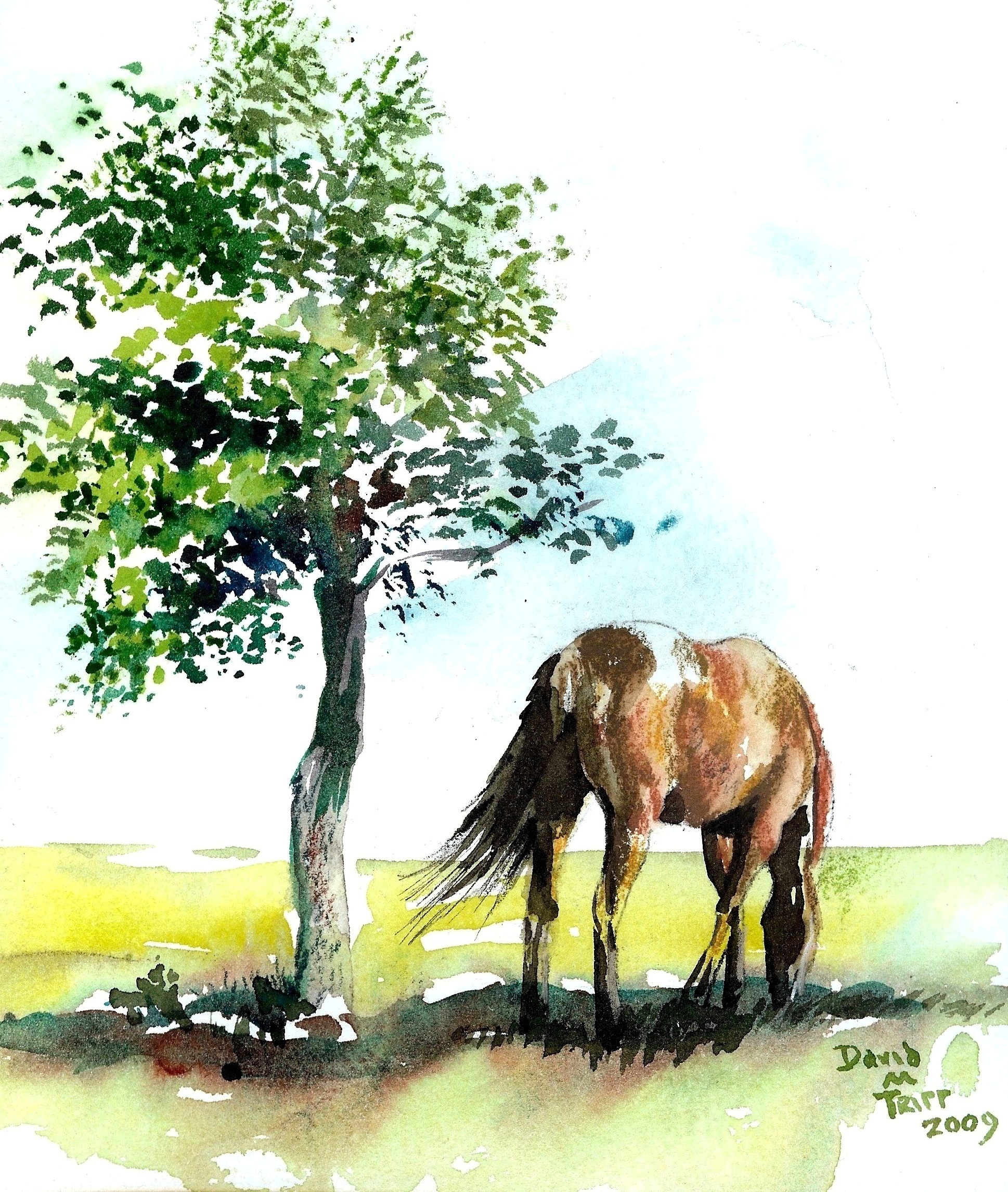Лошадь на Поляне рисунок