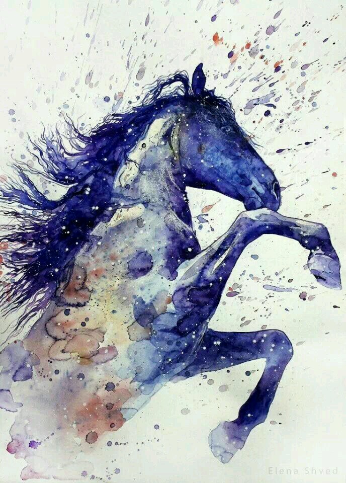 688x960 Watercolour Horse By Elena Shved. Very Beautiful Horse Watercolor - Horse Watercolor Art