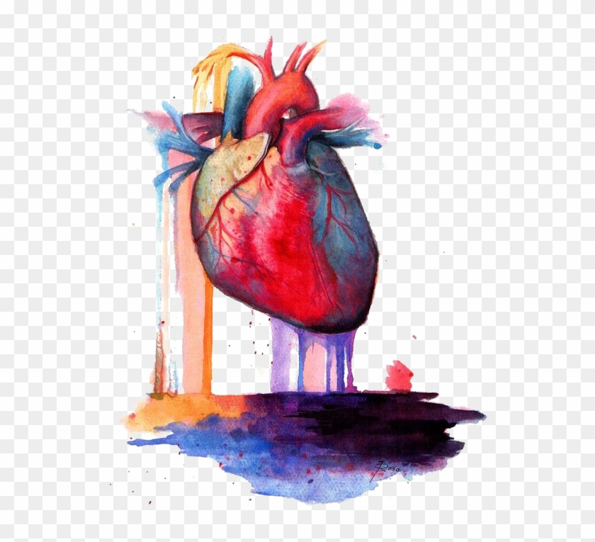 840x765 Heart Anatomy Watercolor Painting - Human Heart Watercolor