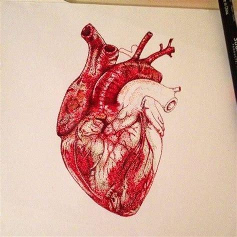 474x474 Human Heart Art Watercolor Google Search The Book - Human Heart Watercolor