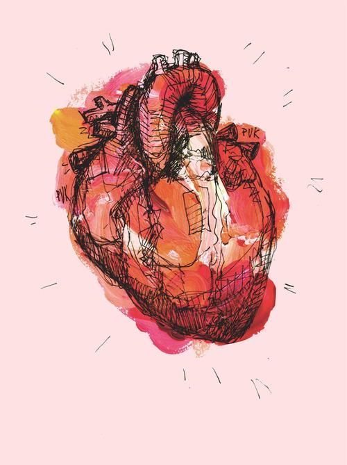 500x669 Pin By Mackenzie Smith On Design Watercolor Heart - Human Heart Watercolor
