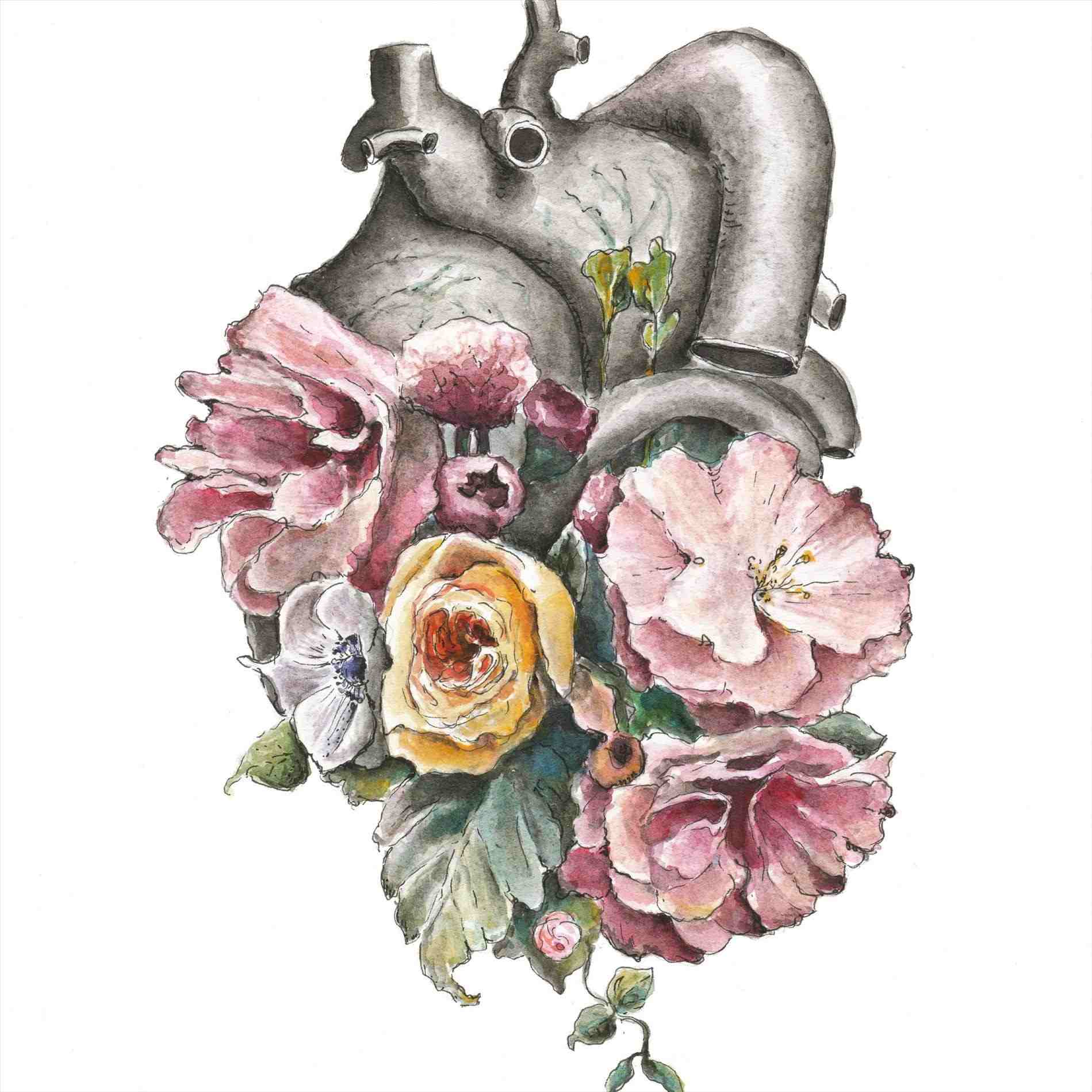 1899x1899 Roses Rhtheyearoflivingfabulouslycom Floral Anatomy Print Of - Human Heart Watercolor