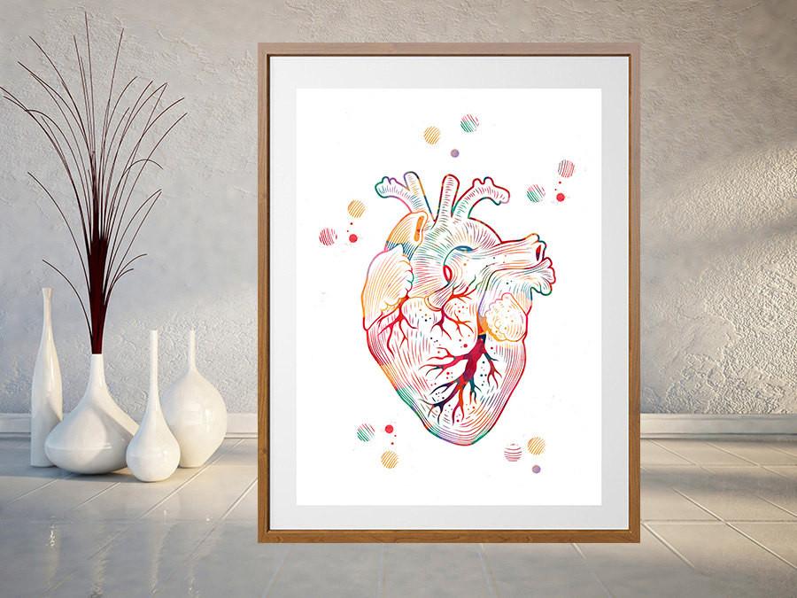 900x675 The Human Heart Watercolor Print Mimiprints - Human Heart Watercolor