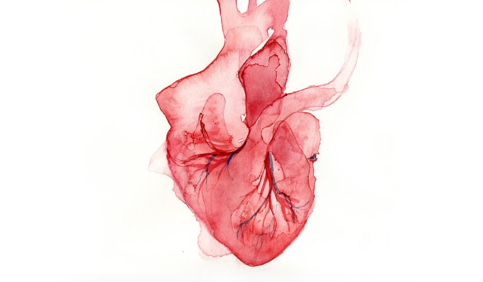 940x550 Squishy, Fleshy, Watercolor, Heart Art Watercolor - Human Heart Watercolor