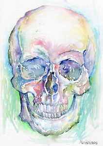 212x300 Human Skull - Human Watercolor
