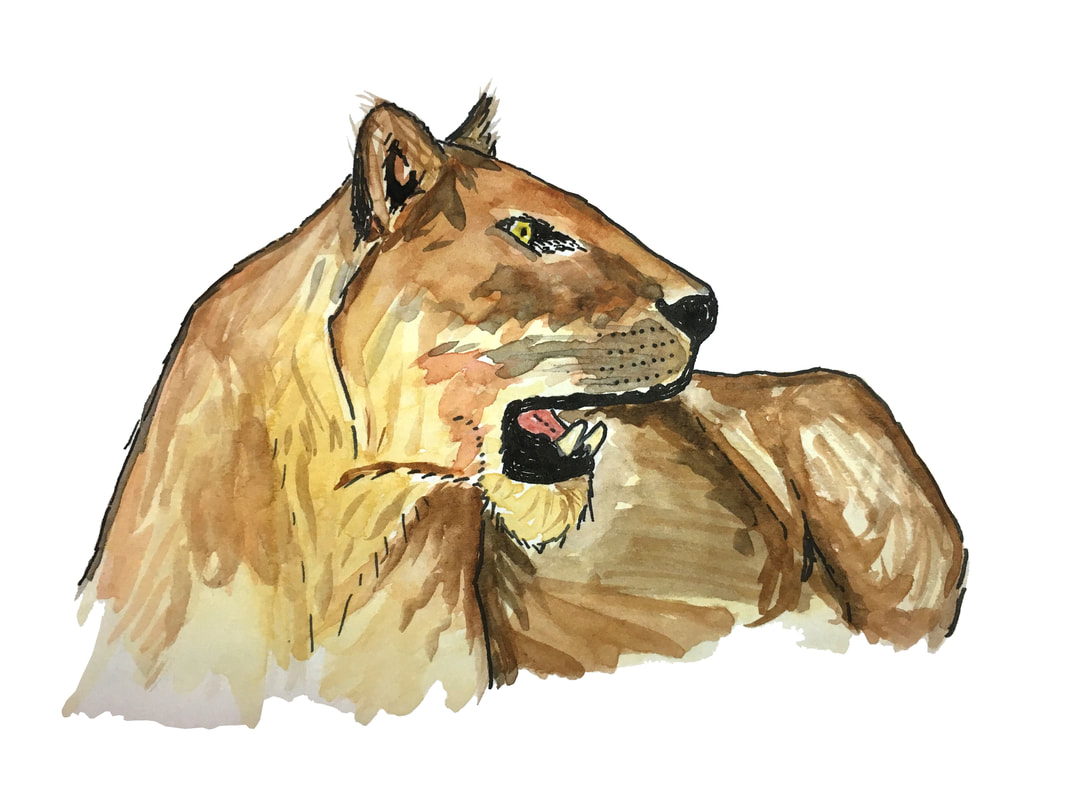 1067x800 Watercolor - Human Watercolor