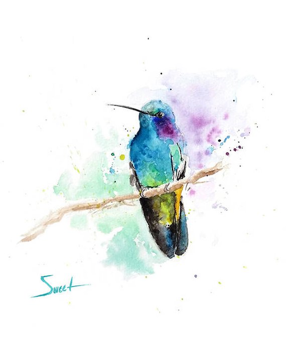 570x713 Hummingbird Art Watercolor Bird Print Hummingbird Decor Bird Etsy - Hummingbird Art Watercolor